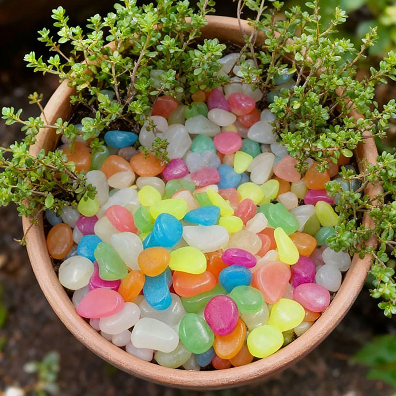 Turn Your Garden Into a Glowing Night Path