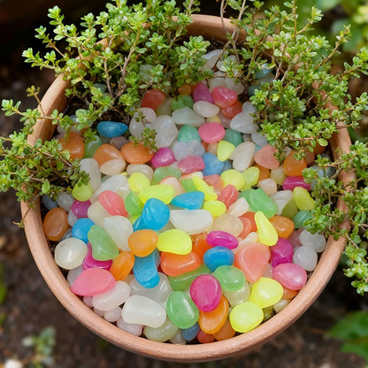 Turn Your Garden Into a Glowing Night Path