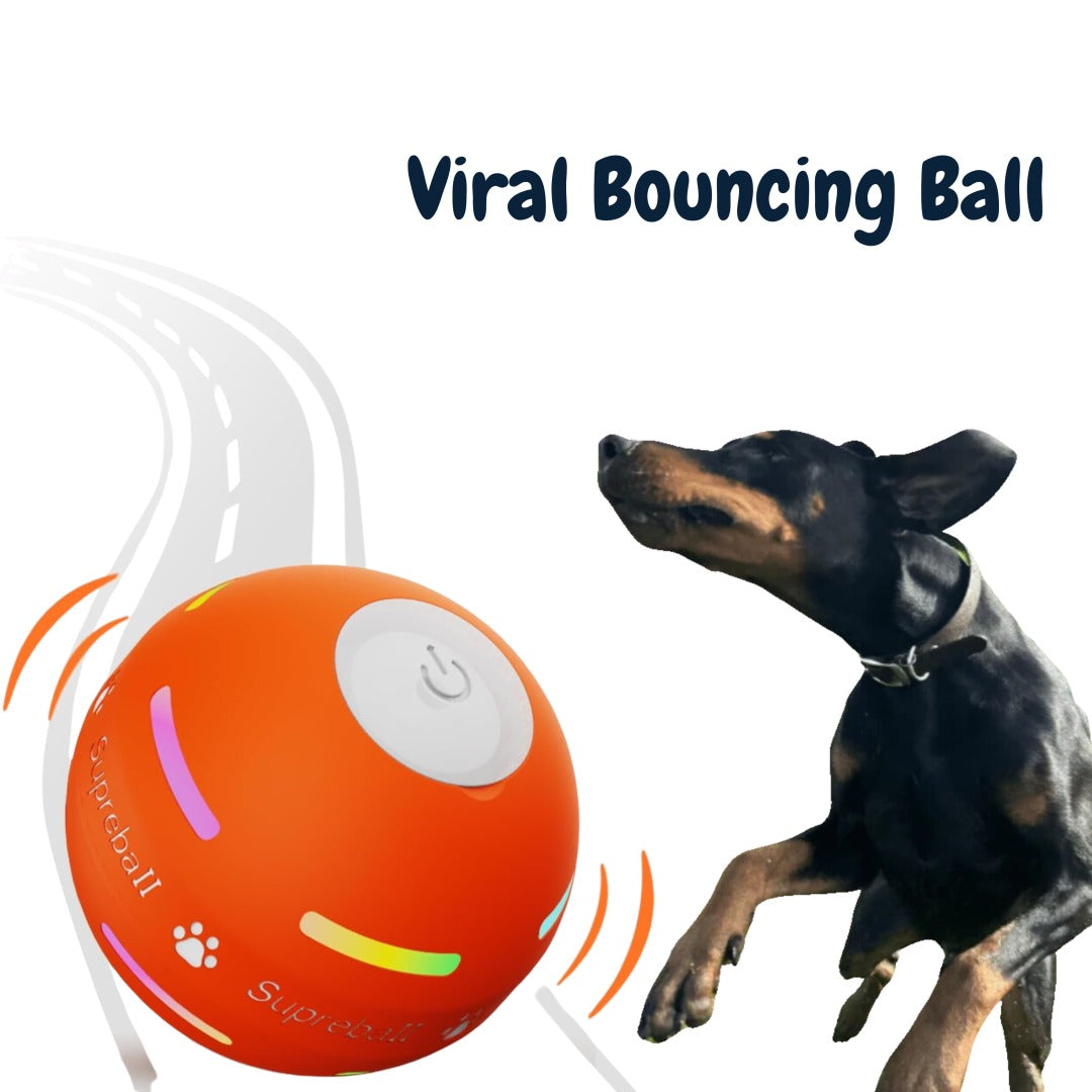 🌟Sonderverkauf -50 % RABATT auf den Chewie Viral Bouncing Ball🐶 