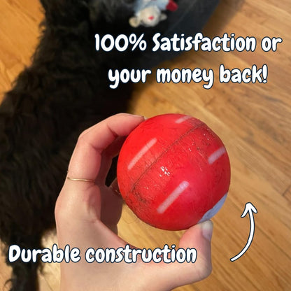 🌟Sonderverkauf -50 % RABATT auf den Chewie Viral Bouncing Ball🐶 