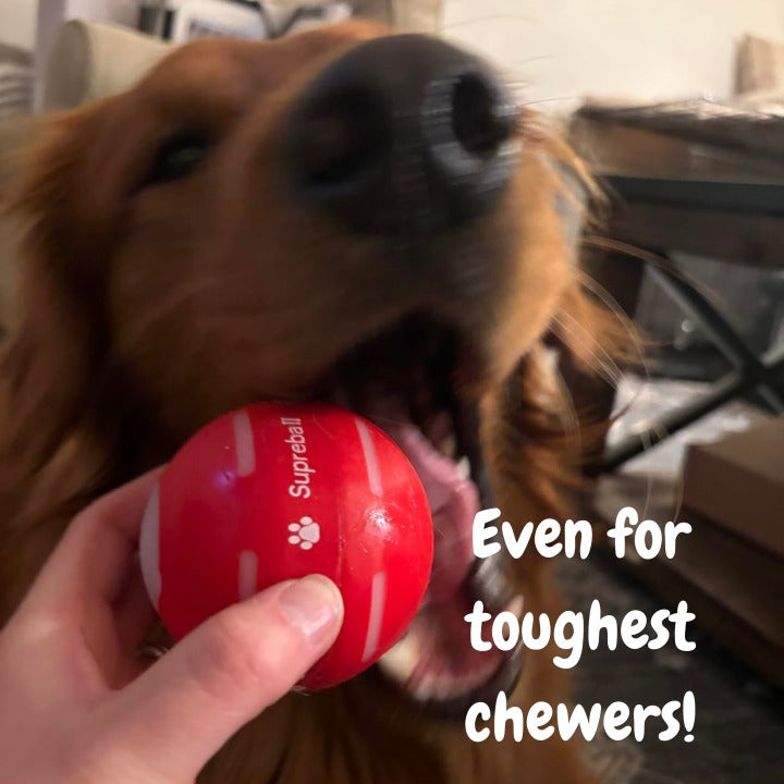 🌟Sonderverkauf -50 % RABATT auf den Chewie Viral Bouncing Ball🐶 