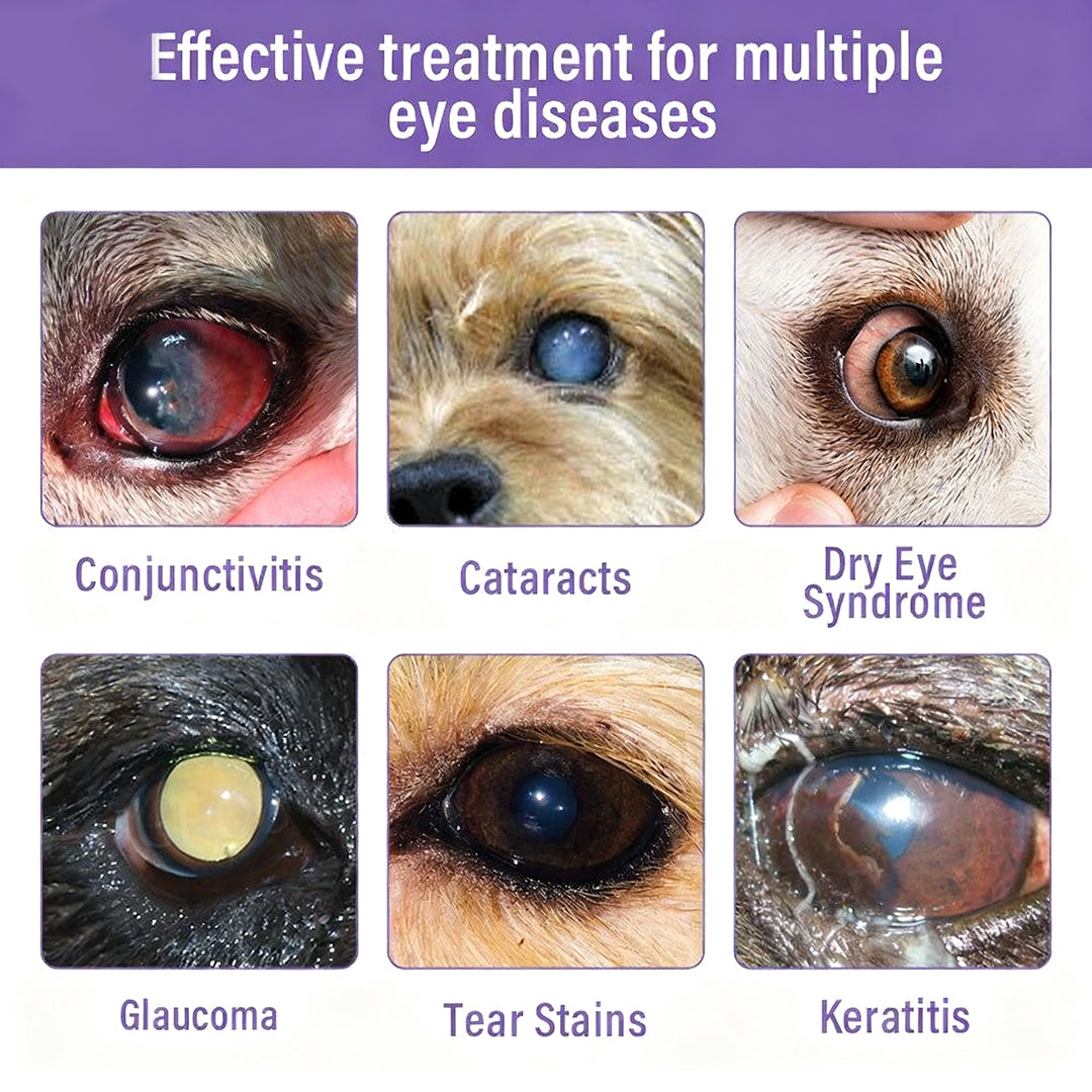 NanoCare Pet Eye Drops-Relieves Conjunctivitis, Dry Eyes, Cataracts, and Keratitis