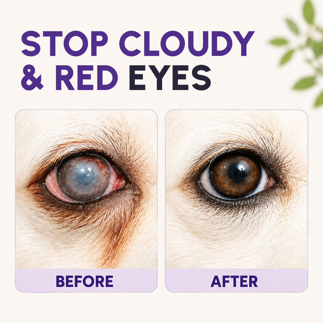 NanoCare Pet Eye Drops-Relieves Conjunctivitis, Dry Eyes, Cataracts, and Keratitis🐶