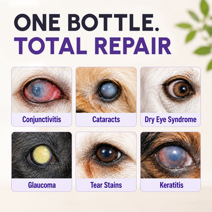 NanoCare Pet Eye Drops-Relieves Conjunctivitis, Dry Eyes, Cataracts, and Keratitis🐶