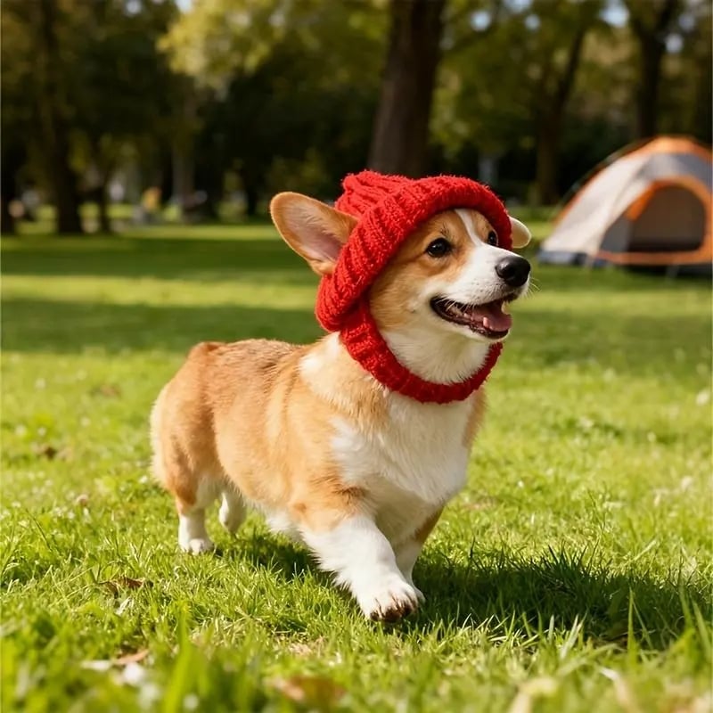 Red Wool Knit Dog Beanie with Ear Flaps – Warm Winter Pet Hat